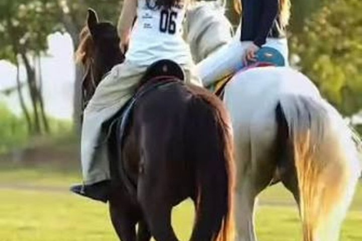 Horse Riding in Piliyandala - Photo 1 of 5